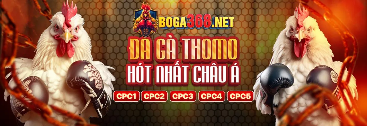 Đá Gà Trực Tuyến Ga567
