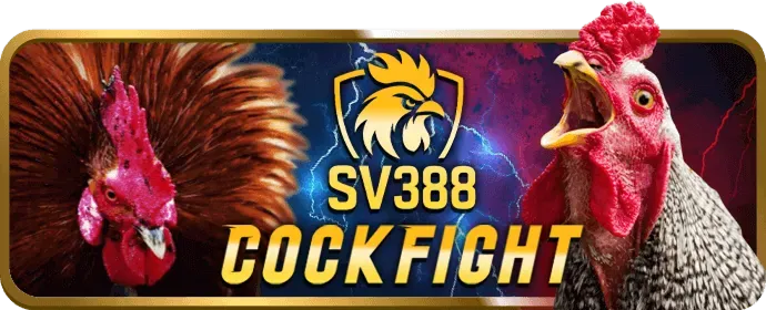 Lưu ý khi liên hệ dịch vụ khách hàng Ga567