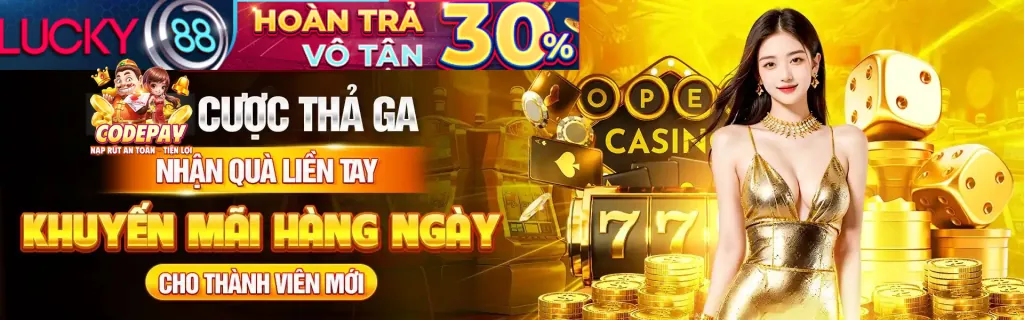 Hỗ trợ trực tuyến 24/7 qua Live Chat